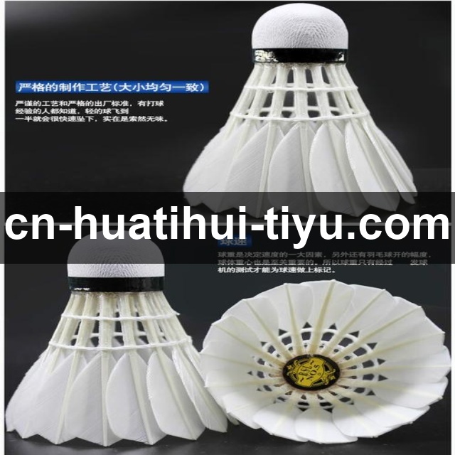 国际举联执委会会议召开，讨论下届世锦赛举办地