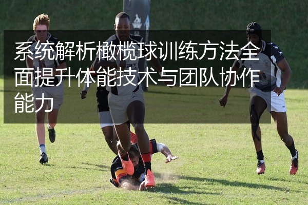 系统解析橄榄球训练方法全面提升体能技术与团队协作能力
