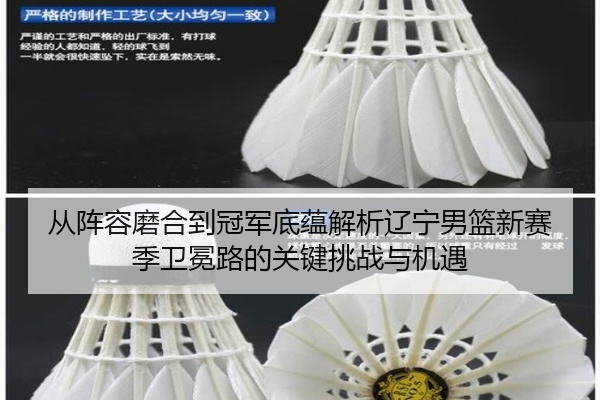 从阵容磨合到冠军底蕴解析辽宁男篮新赛季卫冕路的关键挑战与机遇