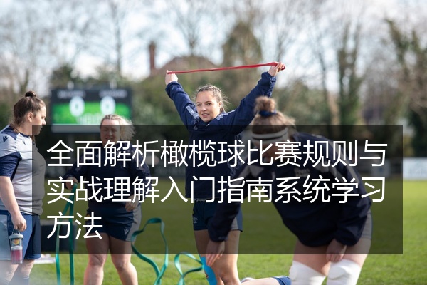 全面解析橄榄球比赛规则与实战理解入门指南系统学习方法