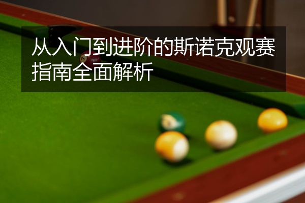 从入门到进阶的斯诺克观赛指南全面解析