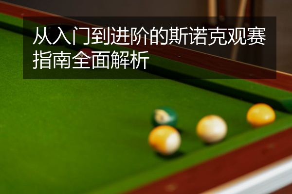 从入门到进阶的斯诺克观赛指南全面解析