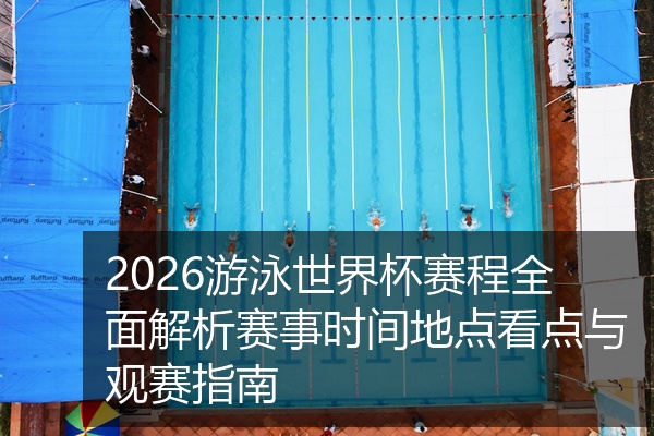 2026游泳世界杯赛程全面解析赛事时间地点看点与观赛指南