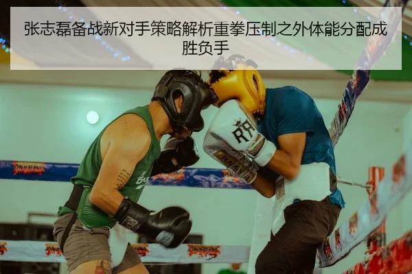 张志磊备战新对手策略解析重拳压制之外体能分配成胜负手